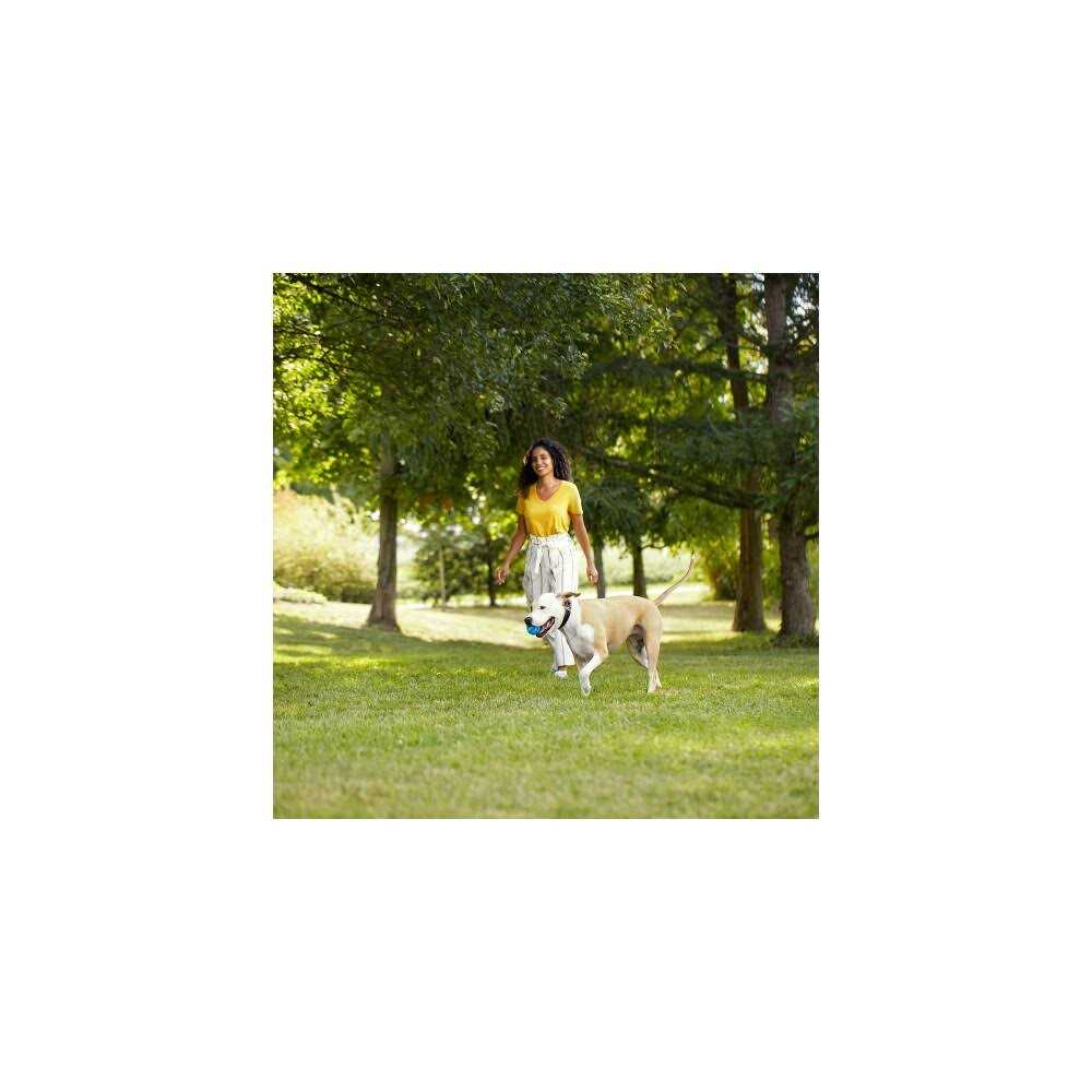 Natural Dry Dog Food with Beef R6542