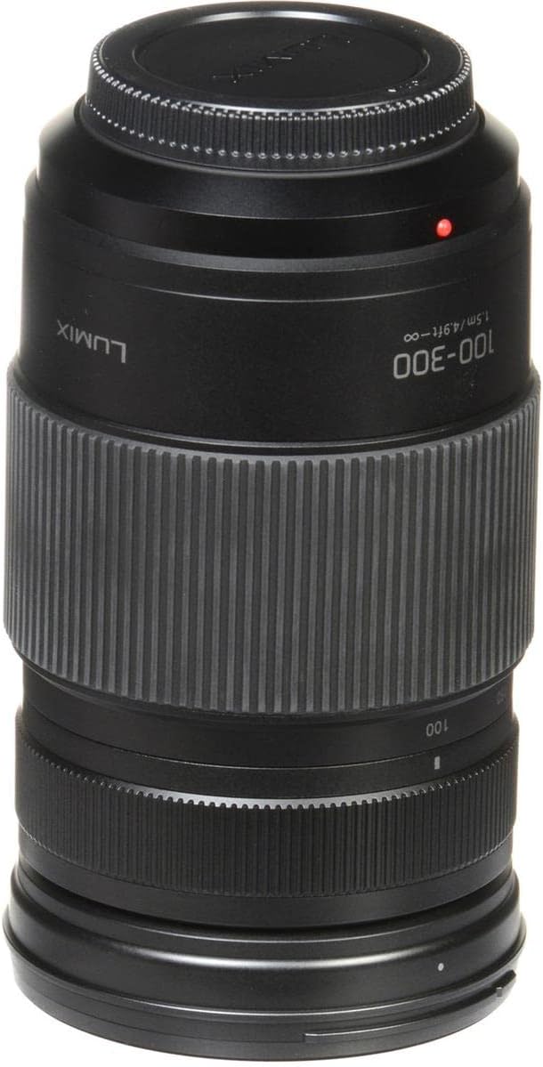 100-300MM Mirrorless Micro Four Thirds Lens Y1801