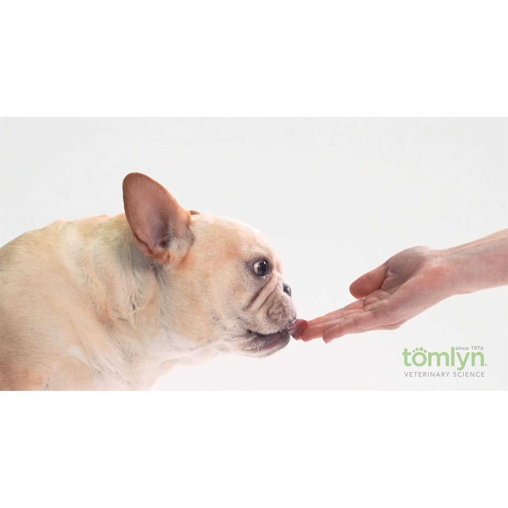 High Calorie Nutritional Gel for Dogs E951502