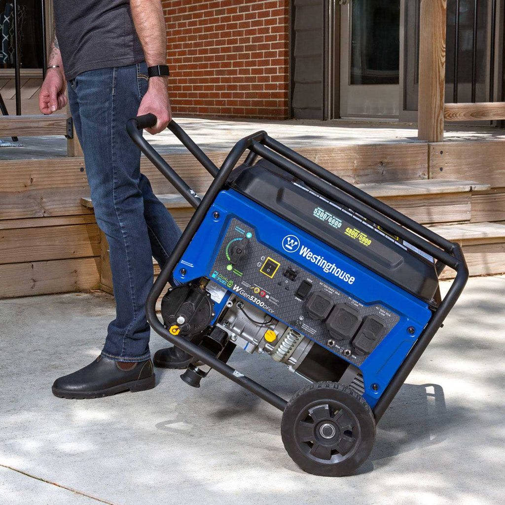 6500 Watt Dual Fuel Portable Generator with CO Sensor D1713