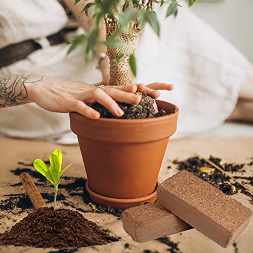 8 Pcs Organic Coco Coir Bricks I7176