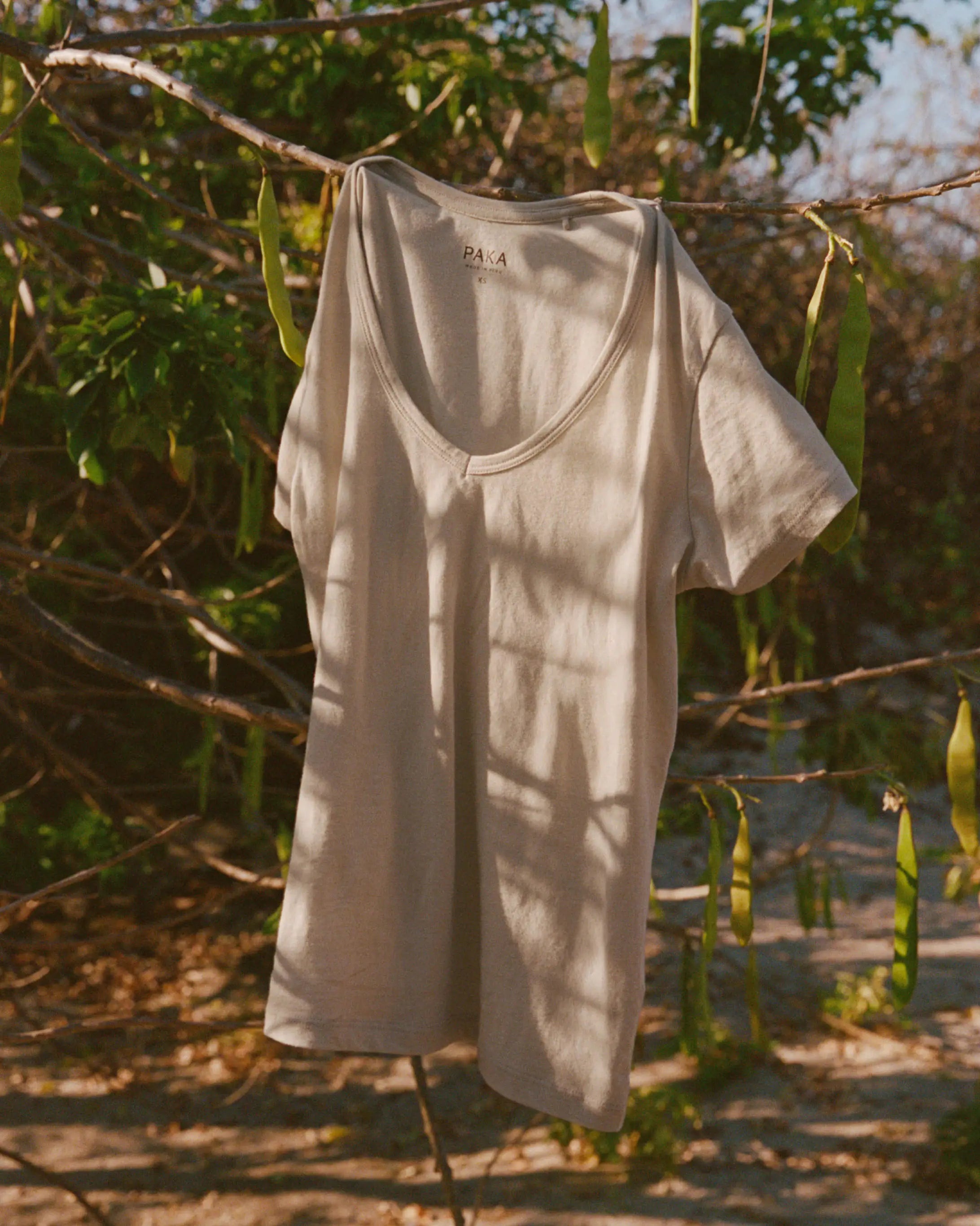 Women's Essential V-Neck