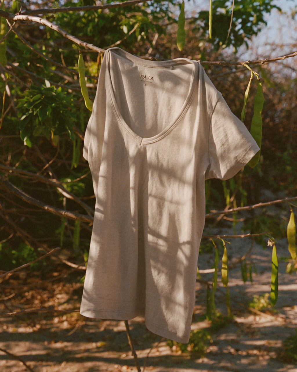 Women's Essential V-Neck